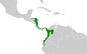 Distribución geográfica del hormiguero bicolor.