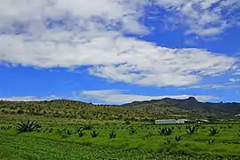 Sierra de TlaxcoTlaxco