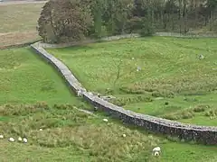 Sección del Muro de Adriano. Sale de la esquina noroeste de Housesteads en dirección noroeste.