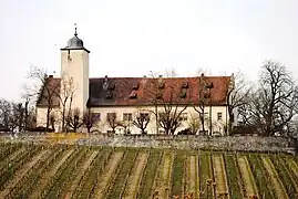 Dominio vinícola Château Hallburg (propiedad de la familia desde 1806)