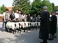 Entrega de premios.