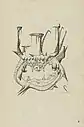 (1907)