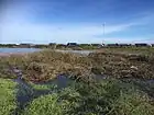 Humedal Laguna Llolleo, conocido popularmente como Ojos de Mar de Llolleo. Imagen tomada en Junio de 2020, agradecimientos a José Luis Brito Montero.