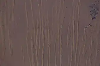 Grandes dunas lineales de seif en el Gran Mar de Arena en el suroeste de Egipto, véase desde la Estación Espacial Internacional. La distancia entre cada duna es de 1,5-2,5 km.