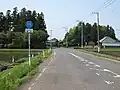 Ruta Prefectural 315 en Naka.