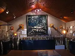 Sala del museo