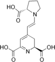 Imagen de la estructura