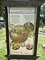 Datos dentro del parque