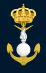 Ingeniería de Armas Navales