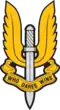 Insgnia del SAS