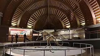 Imagen Interna del Museo del Jurásico en Asturias
