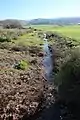 Ephemeral spring at the lower Adullam site