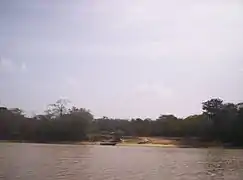 Caño "Brazo Negro" que se desprende del cauce principal del río Cuyuní hacia el Norte y que forma la isla de Anacoco (al fondo).