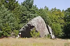 Jaani Tooma.