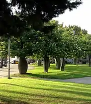 Explanada transición
