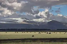 Parque Nacional de Yavajetia