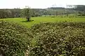 Reservas naturales 'Middenloop Zwalm (Vossenhol)' y 'Kloosterbos'