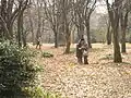 Recolectores en Koishikawa