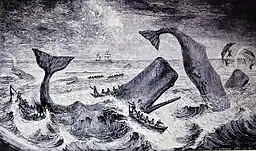 Lámina de pesca de ballena