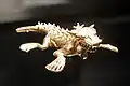 Lagarto de oro con cabeza de felino