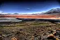 Laguna Colorada