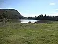 Laguna