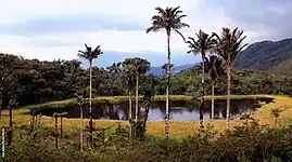 Laguna negra, ubicado en el Cumbe, al sur del distrito.