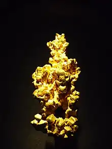 Pepita de oro La Trobe