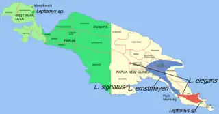 Mapa de distribución de L. elegans y otras especies de Leptomys en la isla de Nueva Guinea.