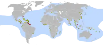Distribución de D. coriacea[cita requerida]