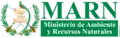Logotipo durante la presidencia de Óscar Berger (2004-2008)