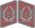 Parche del cuello Luftwaffe
