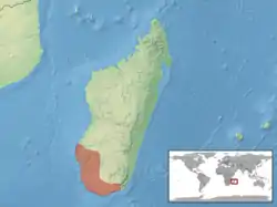 Distribución