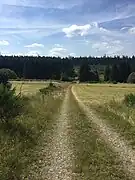 El camino por la meseta Dreiborner Hochfläche.