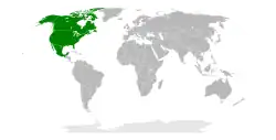 Situación de Consorcio para la Colaboración de la Educación Superior en América del Norte