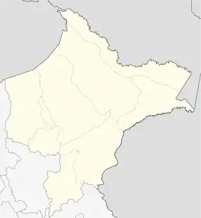 Caballococha ubicada en Departamento de Loreto