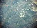 Vista aérea con Kubota en Tsukubamirai (Ibaraki)