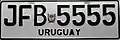 Escudo de Río Negro en matrícula de auto