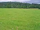 Pradera en el sitio arqueológico de Balbridie.