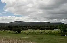 Mesa El Gusano
