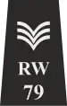 Metropolitan Police Sergeant Epaulette
