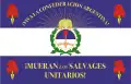 Bandera usada por las unidades militares de la Confederación Argentina. Usualmente en el centro se encontraba el nombre del regimiento.
