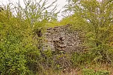 Molino