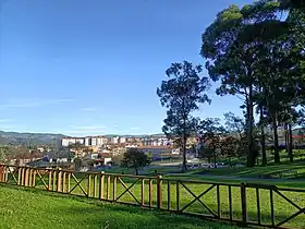 Eucaliptos dispersos en el noreste del parque