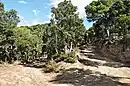 Serres del Litoral Septentrional