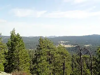 Parque nacional Sierra de San Pedro MártirClima mediterráneo de verano suave (Csb)