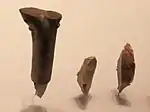 Culturas musteriense y auriñaciense, buriles de piedra utilizados para hacer incisiones en piedra y madera, Qafzeh, Hayonim, Cueva de el-Wad, 250 000-22 000 a. C. Israel