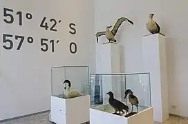 Fauna de las islas.