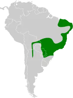 Distribución geográfica del fiofío gris (excluyendo Myiopagis parambae y M. cinerea).