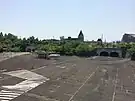 Estacionamiento del parque invadido por la vegetación.